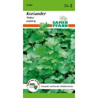 Koriander Pallas