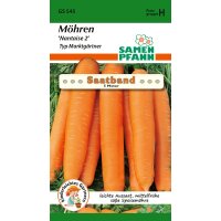 Saatband Möhren Nantaise