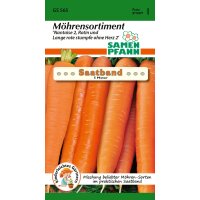 Saatband Möhrensortiment