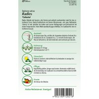 Saatband Radies Celesta