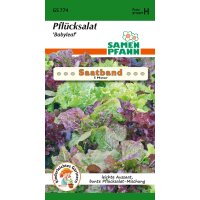 Saatband Pflücksalat Baby Leaf