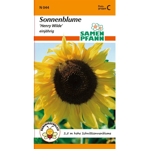 Sonnenblume Henry Wilde