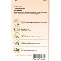 Sonnenblume Henry Wilde