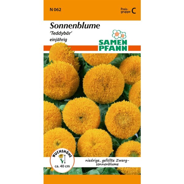 Sonnenblume Teddybär
