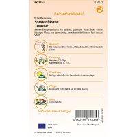 Sonnenblume Teddybär