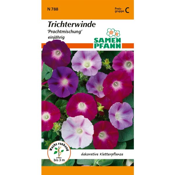 Trichterwinde Mischung