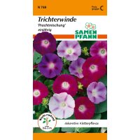 Trichterwinde Mischung
