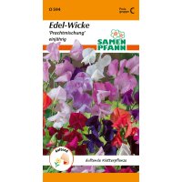 Edelwicken Mischung