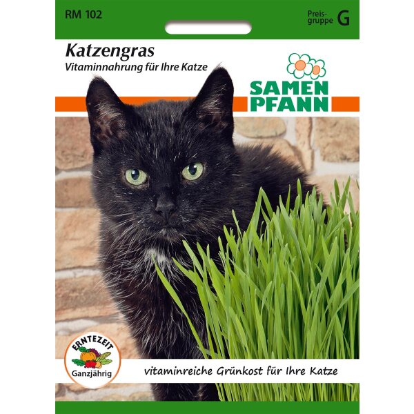 Katzengras