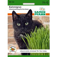 Katzengras