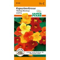 Kapuzinerkresse Niedr.Mischung