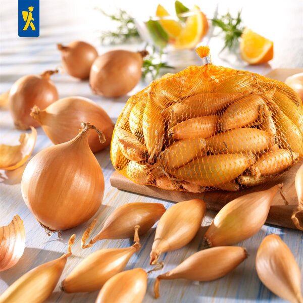 Steckzwiebel Birnenförmige, Gr.10/21, 250 g