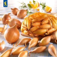 Steckzwiebel Birnenförmige, Gr.10/21, 250 g