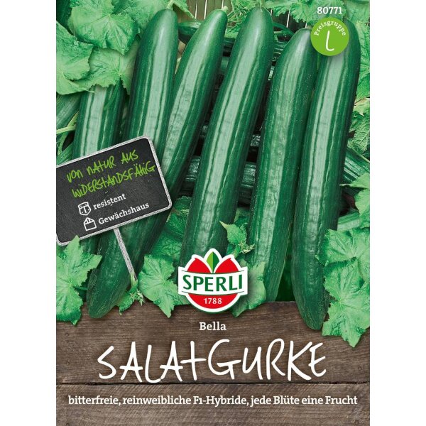 Salatgurke Bella, F1