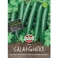 Salatgurke Bella, F1