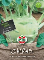 Kohlrabi Superschmelz