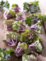 Rosenkohl Flower Sprouts&reg; Autumn Star, F1