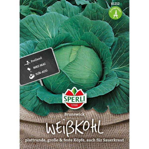 Weißkohl Brunswick