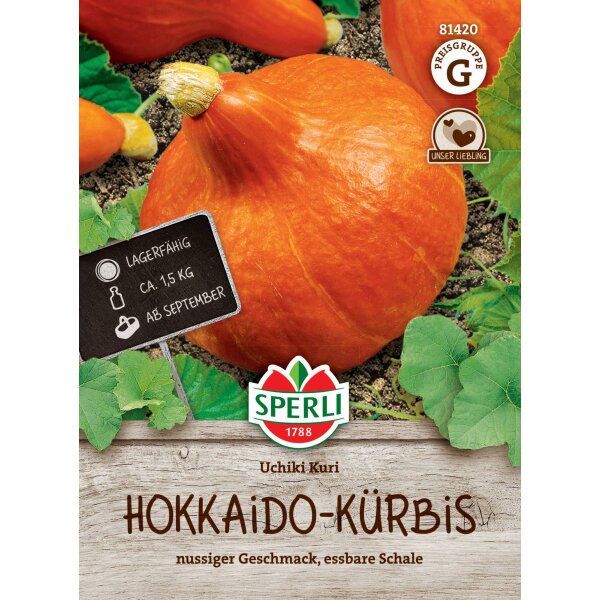 Hokkaido-Kürbis Uchiki Kuri