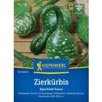 Zierkürbis Speckled Swan