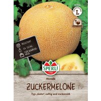 Zuckermelone Masada, F1