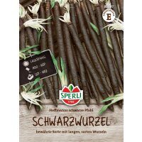 Schwarzwurzel Hoffmanns schwarze Pfahl