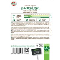 Schwarzwurzel Hoffmanns schwarze Pfahl