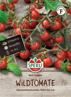 Wildtomate Red Currant