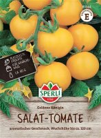 Salat-Tomate Goldene Königin