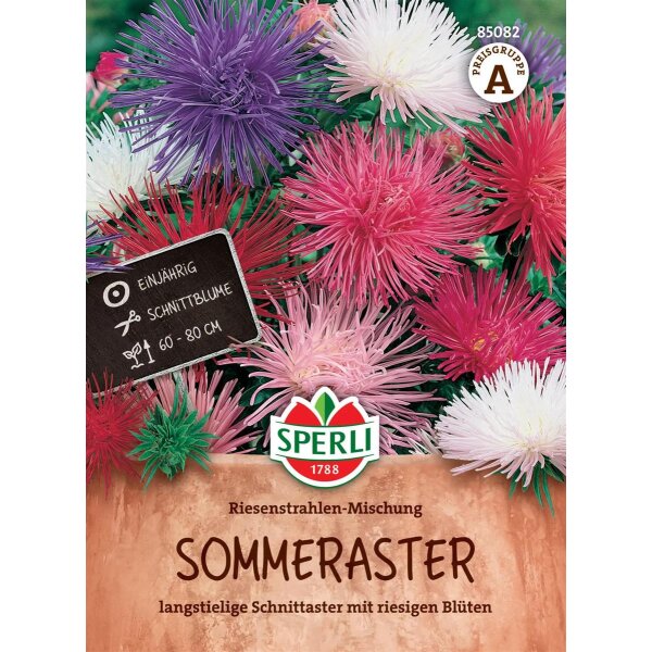 Sommeraster Riesenstrahlen-Mischung
