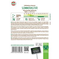 Sommeraster Riesenstrahlen-Mischung