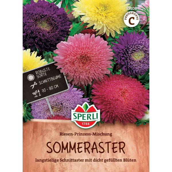 Sommeraster Riesen-Prinzess-Mischung
