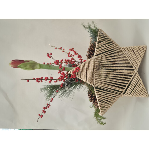Stern to go, Farbe: natur, inkl. Florarer Füllung und frischer Amaryllis
