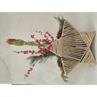 Stern to go, Farbe: natur, inkl. Florarer F&uuml;llung und frischer Amaryllis