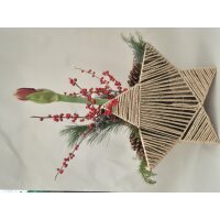 Stern to go, Farbe: natur, inkl. Florarer F&uuml;llung und frischer Amaryllis