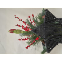 Stern to go, Farbe: anthrazit, inkl. Florarer F&uuml;llung und frischer Amaryllis