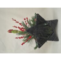 Stern to go, Farbe: anthrazit, inkl. Florarer F&uuml;llung und frischer Amaryllis