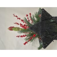 Stern to go, Farbe: anthrazit, inkl. Florarer F&uuml;llung und frischer Amaryllis