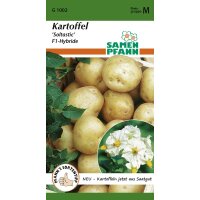 Kartoffeln Soltastic F1