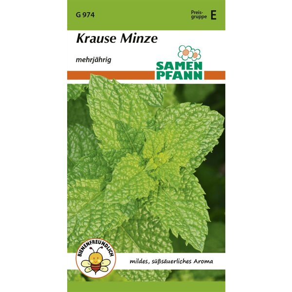 Krause Minze