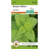 Krause Minze