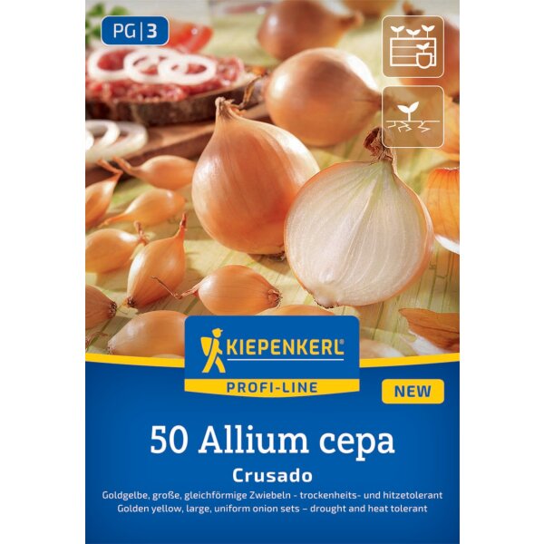 Steckzwiebel Crusado