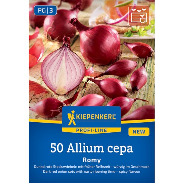 Steckzwiebel Romy