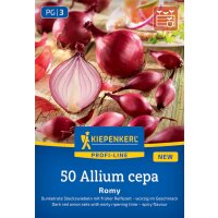 Steckzwiebel Romy