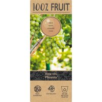 Traube (Vitis vinifera), Sorte: Phoenix, veredelt, im 15cm Topf, ca. 65cm hoch