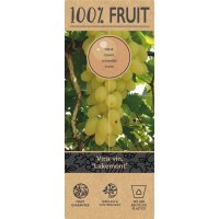 Traube (Vitis vinifera), Sorte: Lakemont kernlos, veredelt, im 15cm Topf, ca. 65cm hoch