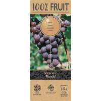 Traube (Vitis vinifera), Sorte: Rondo, im 15cm Topf, ca. 65cm hoch