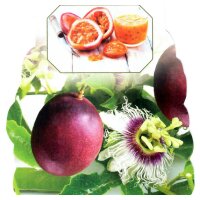 Passionsblume, (Passiflora edulis). Sorte: Purple Giant,...