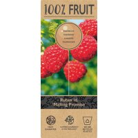 Sommer Himbeere, (Rubus idaeus), Sorte: Malling Promise, ca. 65cm hoch, im 14cm Topf